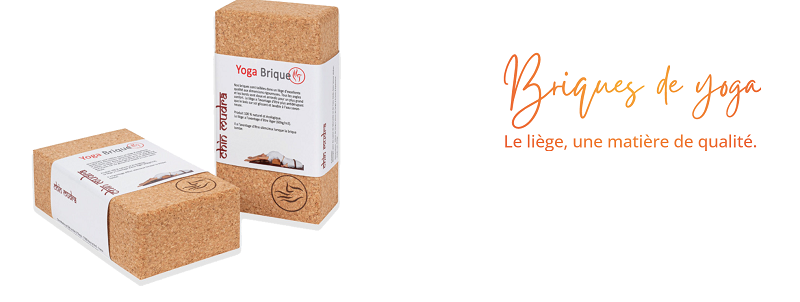 les briques de yoga chin mudra : 20 ans d'experience