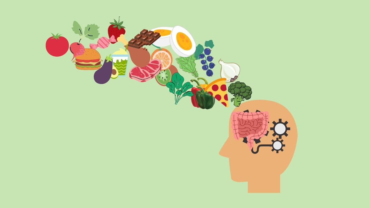 Quels sont les aliments à privilégier ?
