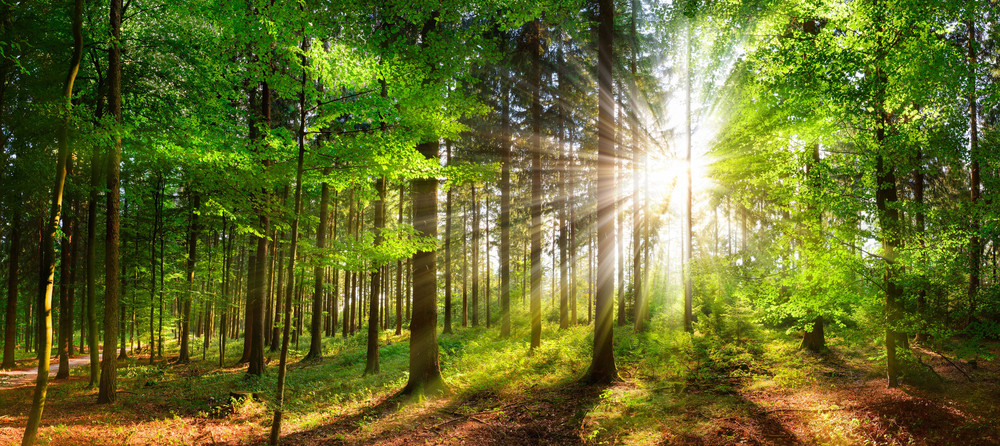 Les bienfaits de la respiration complete sur le corps et l'esprit