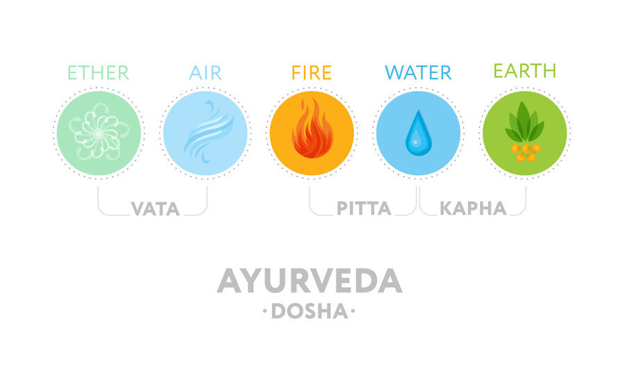 Shhetali permet de réguler le dosha Pitta