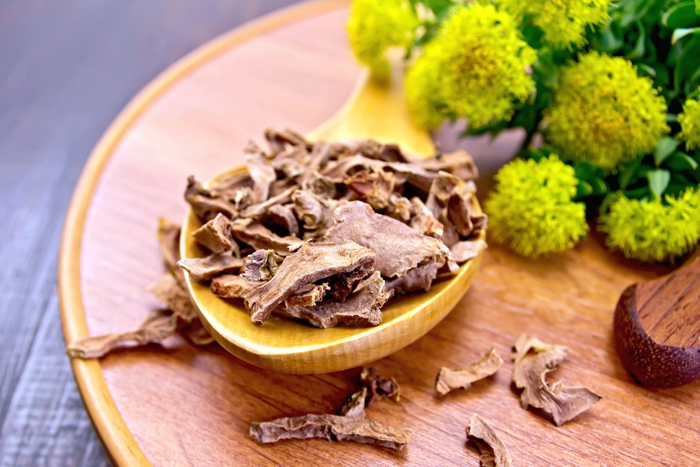 Rhodiola, la plante adaptogène La plante adaptogène Rhodiola