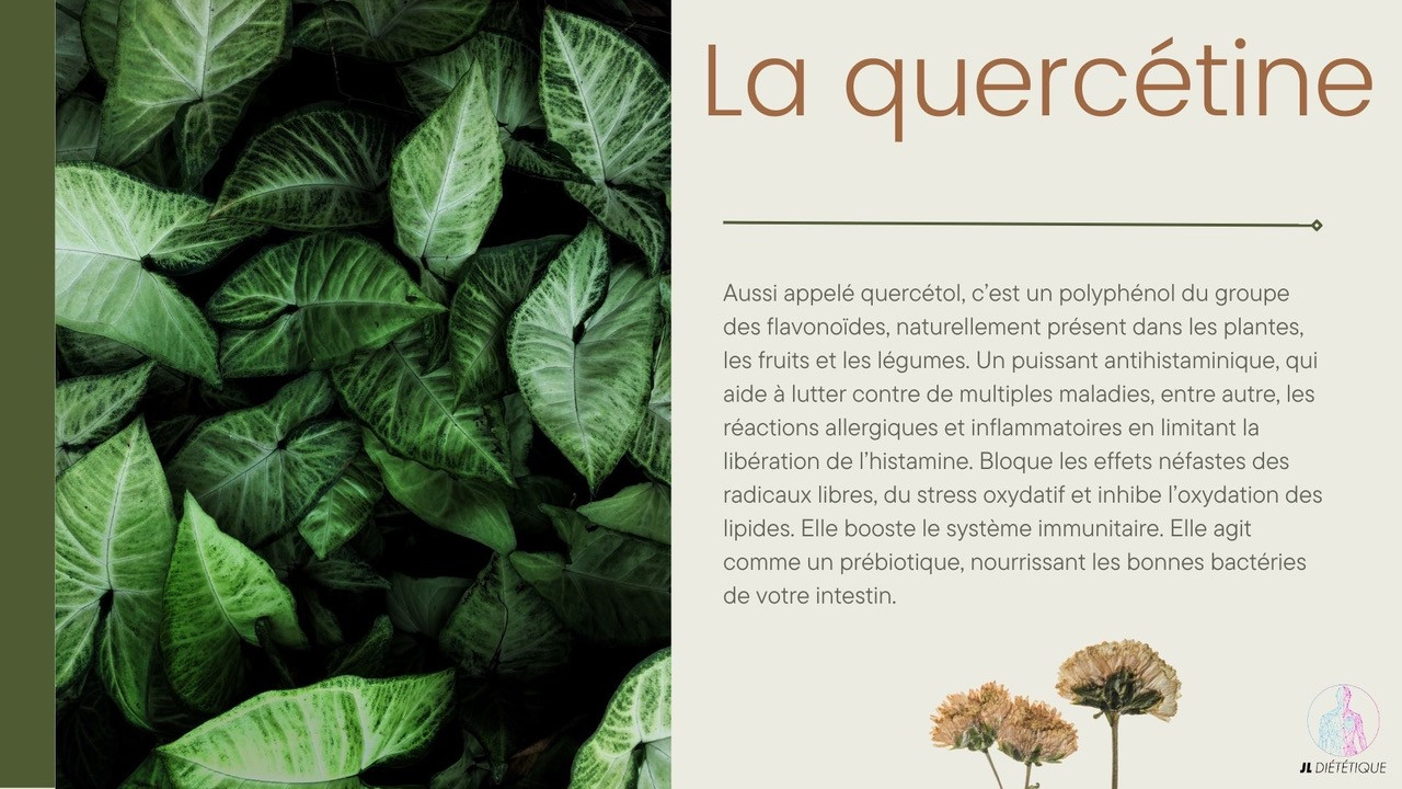 la quercetine contre les allergies