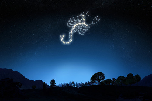 Ce qu'il faut savoir du signe Vrishchika dans le Jyostish Vrishchika, signe vedique du scorpion