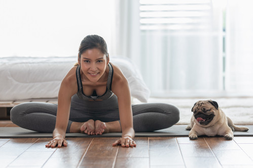 Yoga des animaux ? quels sont les avantages du yoga avec les animaux ?