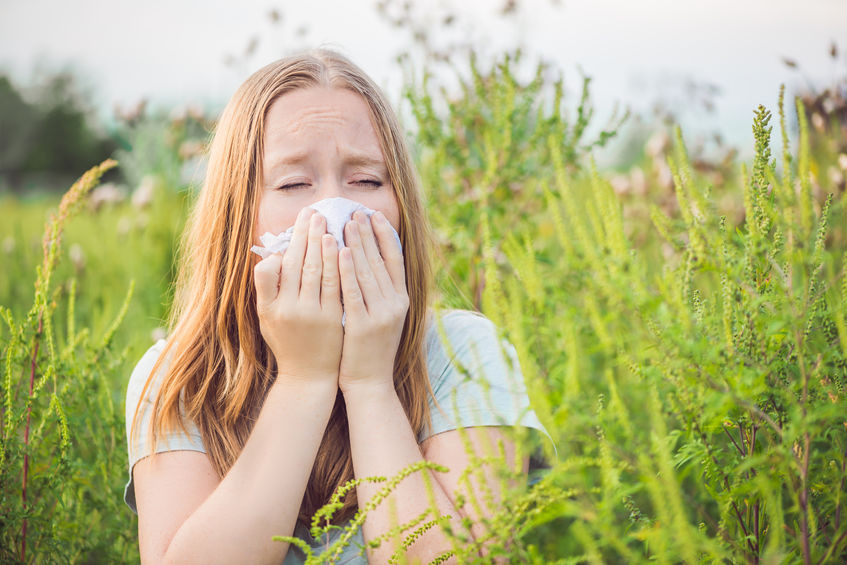 Combattez les allergies avec le yoga l'Ayurveda contre les allergies aux pollens