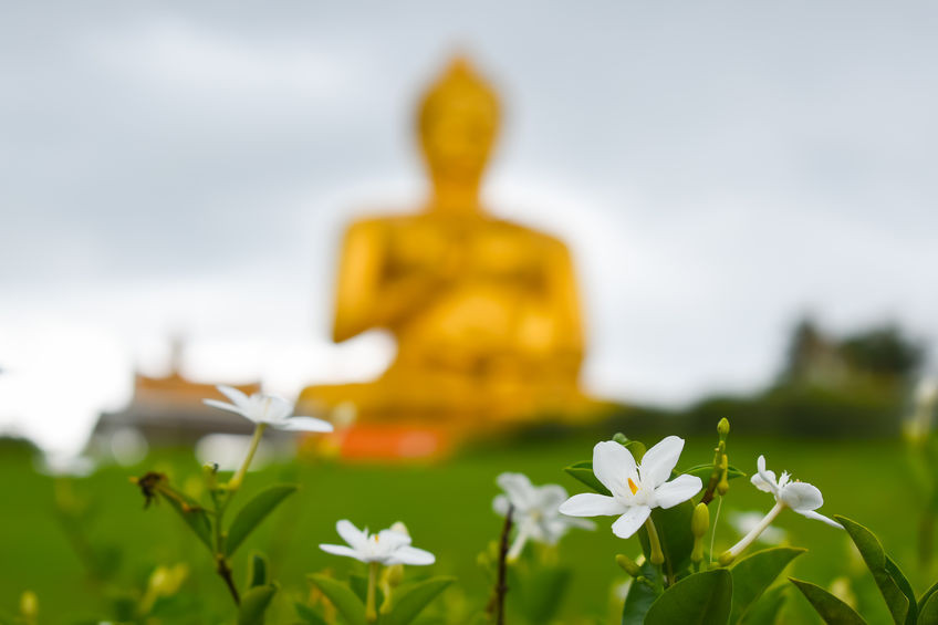 Qu'est-ce que c'est samādhi ?