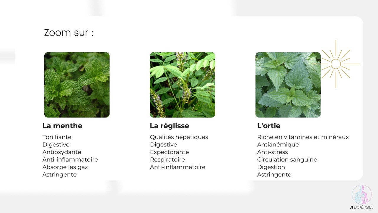 les plantes naturelles pour equilibrer les doshas Les plantes pour les doshas