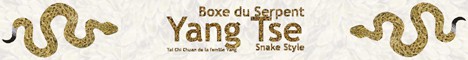 Yang Tse Paris - Tai Chi Chuan de la famille Yang